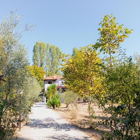 Diamond Farm Villa Kala Nera Exterior foto
