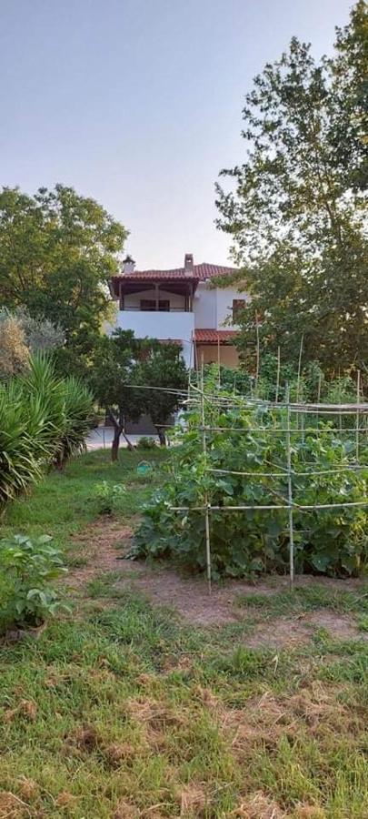 Diamond Farm Villa Kala Nera Exterior foto